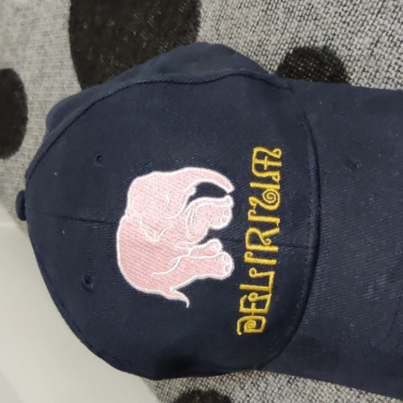 Delirium Baseball Hat - Picture 6 of 6